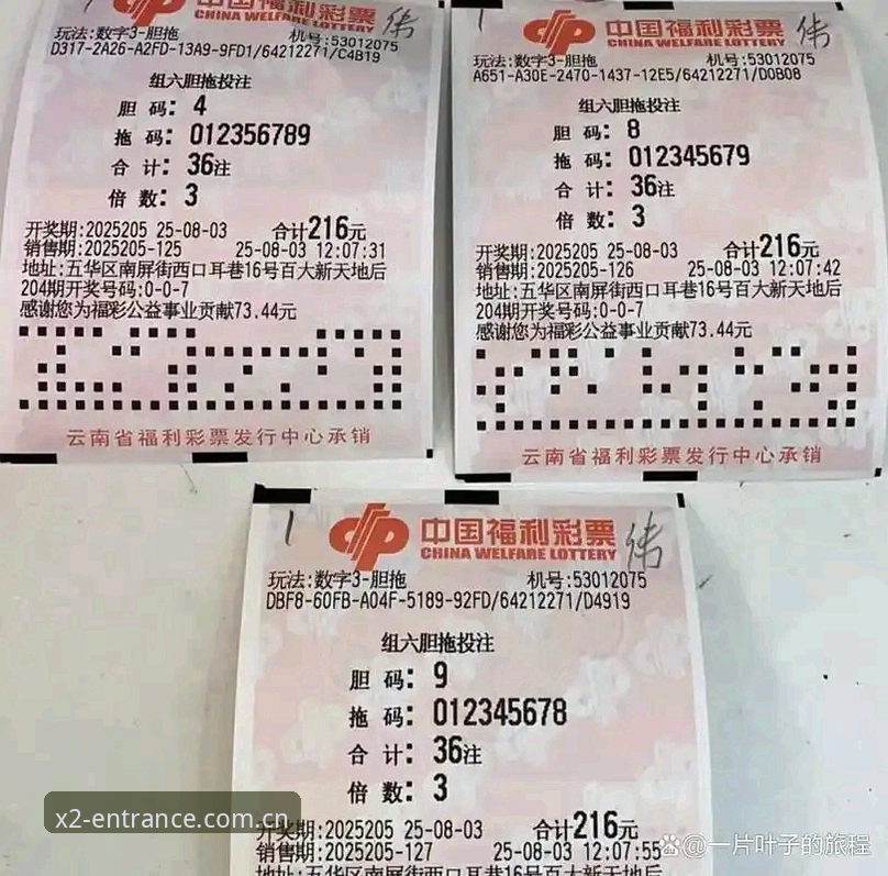 新2投注网最新入口最新版实用指南：2025投注平台安全访问必备知识